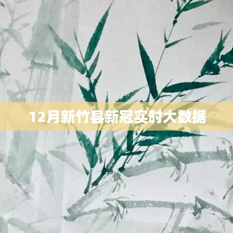 新竹县十二月新冠疫情实时数据分析报告