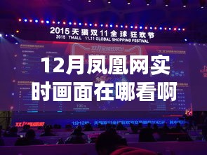 凤凰网实时画面观看指南