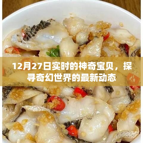 12月27日实时更新，神奇宝贝奇幻世界最新动态探索