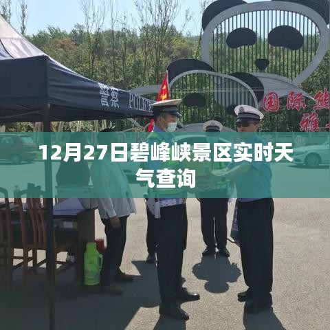 碧峰峡景区12月27日实时天气信息