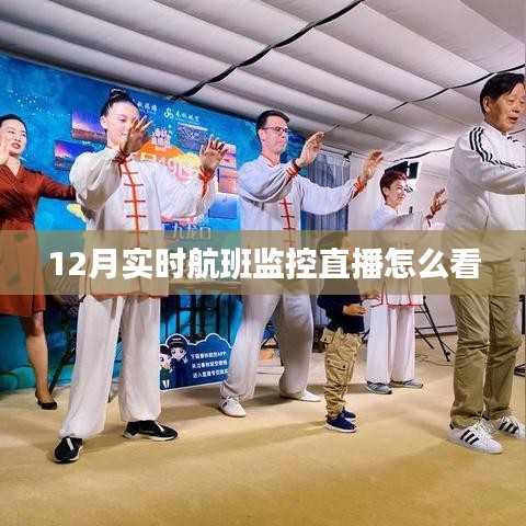 12月实时航班监控直播观看攻略