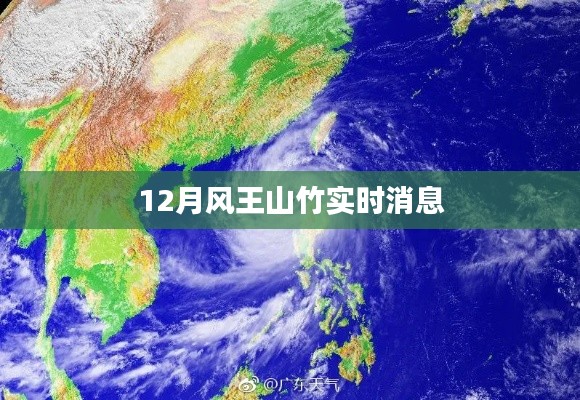 风王山竹最新动态，12月实时消息速递