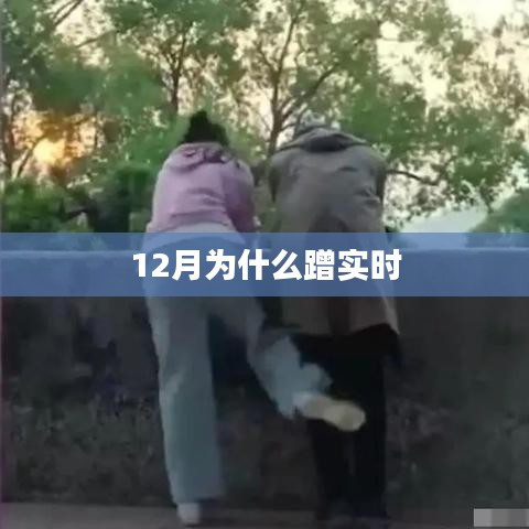 井蛙醯鸡 第2页