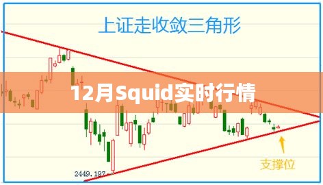 Squid实时行情走势分析（附最新数据）