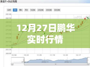 鹏华实时行情更新，最新动态掌握在手