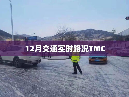 文贵天成 第2页