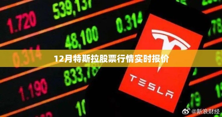 特斯拉股票行情实时报价分析（最新动态）