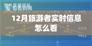 12月旅游实时信息解析
