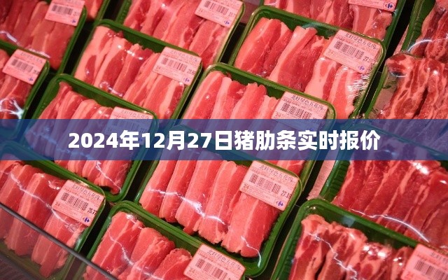 猪肋条最新报价，2024年12月27日实时价格