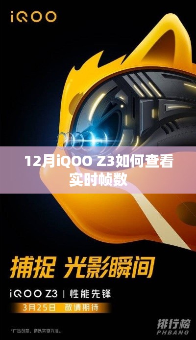 iQOO Z3 12月实时帧数查看攻略