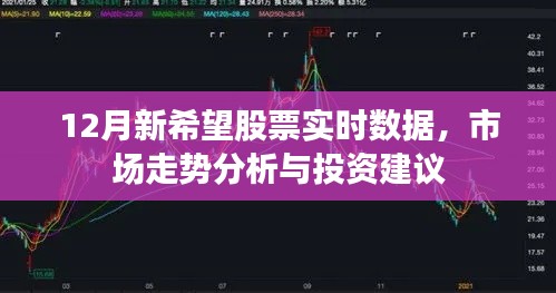 12月新希望股票实时数据解析及市场走势展望