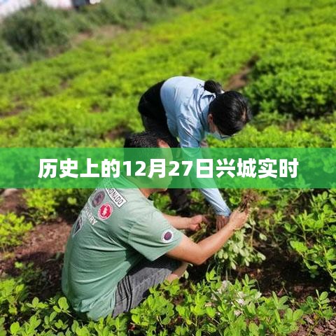 历史上的十二月二十七日兴城记事