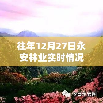 永安林业往年12月27日实时概况