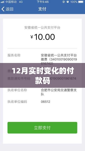 实时变化付款码，12月最新动态