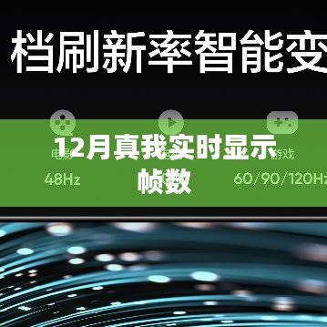 12月真我游戏帧数实时查看