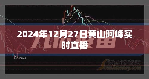 黄山阿峰直播实录，探寻美景于2024年冬
