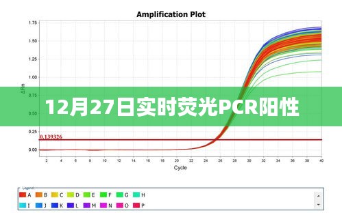 实时荧光PCR阳性结果揭晓，最新数据解读