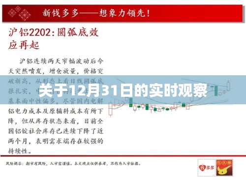 12月31日实时观察，节日氛围与活动盘点