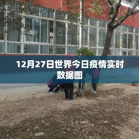 全球疫情实时数据图（最新更新至12月27日）