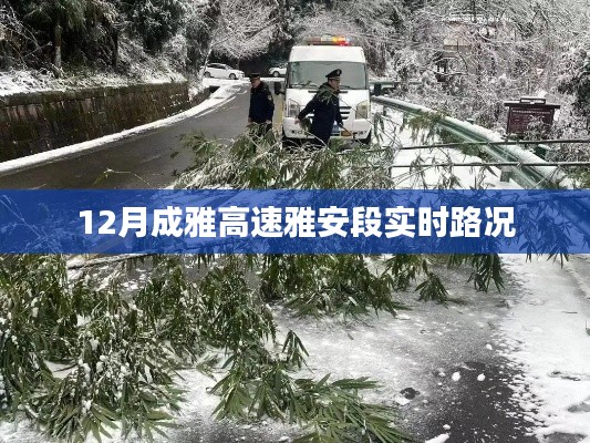 成雅高速雅安段实时路况报道