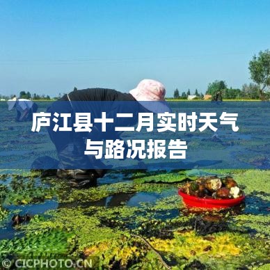 庐江县十二月天气路况实时更新报告