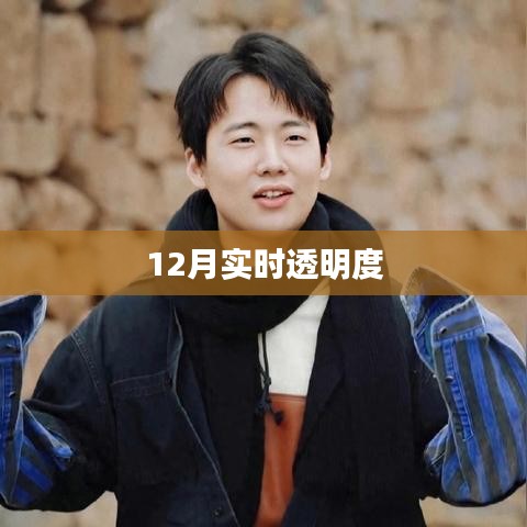 实时透明度报告，深度解析12月数据