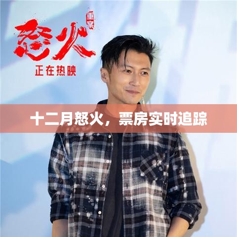 十二月怒火，票房追踪实时更新