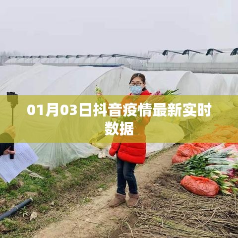 抖音疫情最新实时数据（XX年XX月XX日更新）