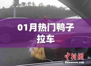 一月鸭子拉车热潮来袭！
