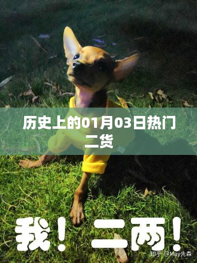 历史上的大事件，一月三日二货狂欢日回顾