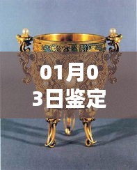 热门文物鉴定日评，01月03日揭秘文物魅力