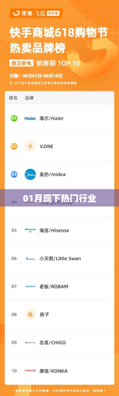 热门行业趋势解析，一月观察报告