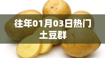 土豆群热门活动回顾