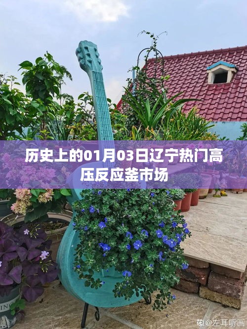 辽宁高压反应釜市场历史发展，一月三日回顾