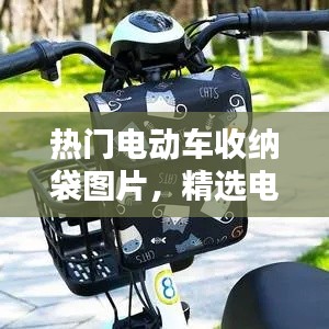 热门电动车收纳袋图片精选展示