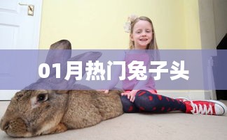 可以参考，一月热门兔子头像大赏。
