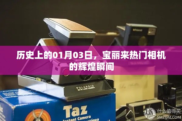 鸟飞兔走 第2页