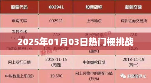 2025年1月3日热门梗挑战来袭！