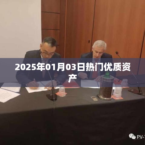 优质资产热门趋势展望，2025年1月市场分析
