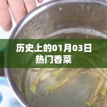 热门香菜的历史时刻，一月三日回顾