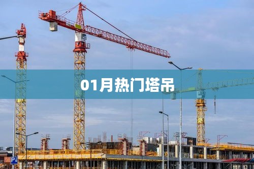 热门塔吊动态，一月概览