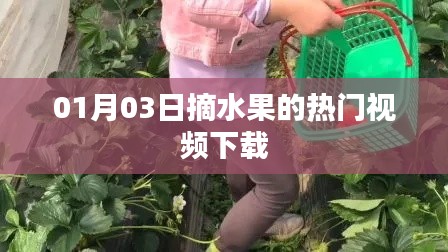 热门水果采摘视频下载（XXXX年XX月XX日更新）