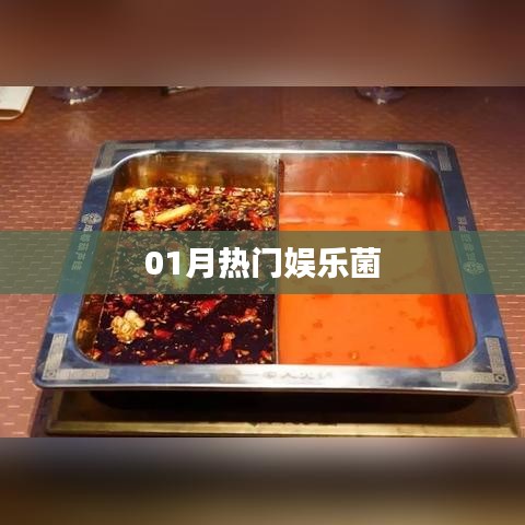 01月热门娱乐菌盘点