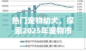 热门宠物幼犬，未来宠物市场趋势探索