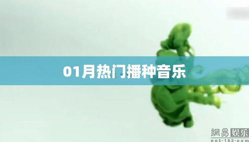 01月热门音乐播种榜单
