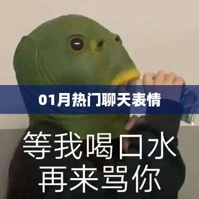 精选，一月聊天表情大热！