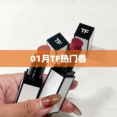 TF热门香一月盘点