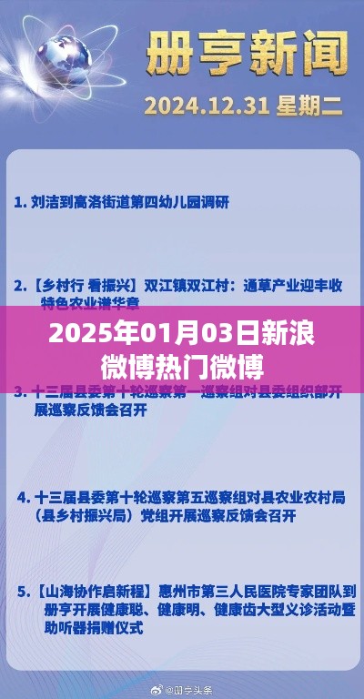2025年新浪热门微博速递