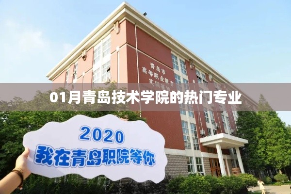 青岛技术学院热门专业解析