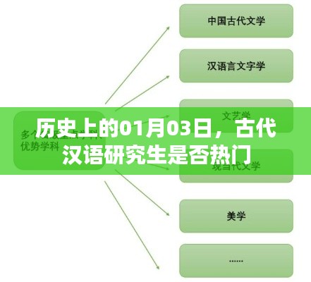 古代汉语研究生热门趋势分析，历史视角的探究